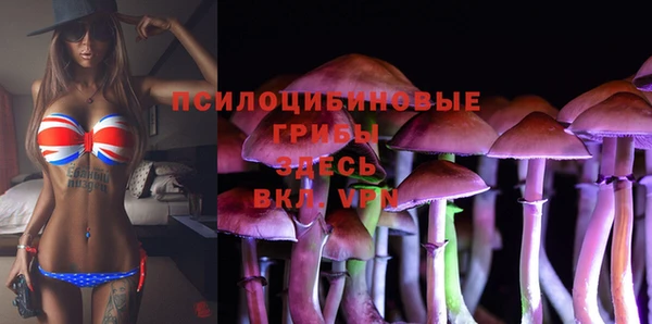 герыч Туринск