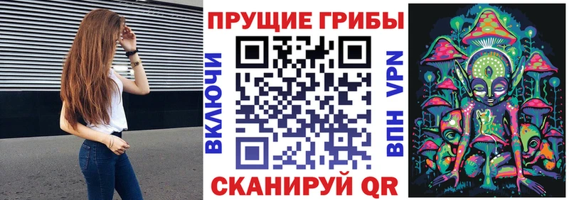 кракен рабочий сайт Белый Псилоцибиновые грибы ЛСД